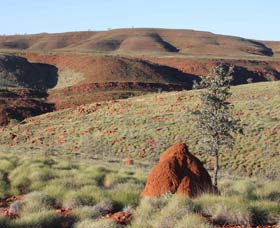 Camel Trail, Millstream-Chichester National Park - Holiday Adelaide 0