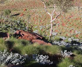 Camel Trail, Millstream-Chichester National Park - Holiday Adelaide 2