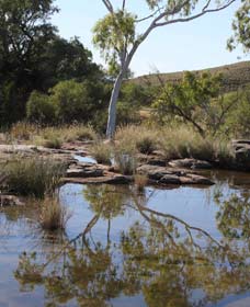 Camel Trail, Millstream-Chichester National Park - Holiday Adelaide 3