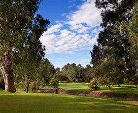Commercial Golf Course - Holiday Adelaide 0