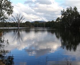 Wonga Wetlands - Holiday Adelaide 1