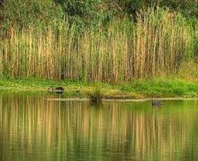Wonga Wetlands - Holiday Adelaide 2