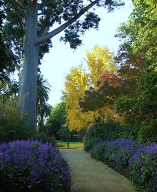 Albury Botanic Gardens - Holiday Adelaide 4