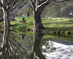 Albury - Murray River Precinct - Holiday Adelaide 3