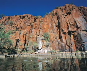 Python Pool - Holiday Adelaide 1