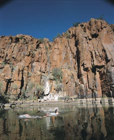 Python Pool - Holiday Adelaide 3