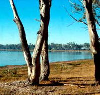 Lake Broadwater Conservation Park - Holiday Adelaide