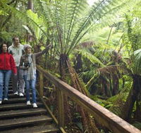 Otway Fly Treetop Adventures - Holiday Adelaide