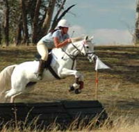 National Equestrian Centre - Kerrabee - Holiday Adelaide