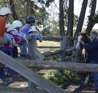 Harlow Park Horse Riding - Holiday Adelaide