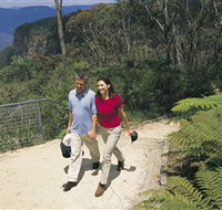 Blue Mountains Walking Tracks