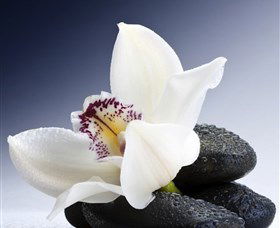 H2O Spa - Holiday Adelaide 1