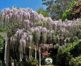 Mount Wilson NSW Holiday Adelaide
