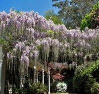 Nooroo Gardens - Holiday Adelaide