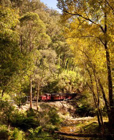 Walhalla Goldfields Railway - Holiday Adelaide 3