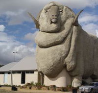 Big Merino - Holiday Adelaide