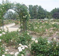 Victoria Park Rose Garden - Holiday Adelaide