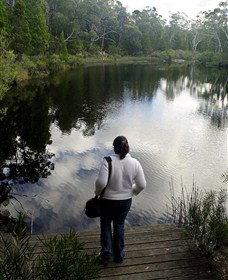 Boonoo Boonoo Falls National Park - Holiday Adelaide 1