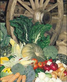 Mulgowie QLD Holiday Adelaide