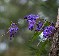 Mann River Nature Reserve - Holiday Adelaide