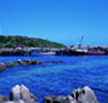 King Island Dairies - Holiday Adelaide