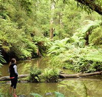 Morwell National Park - Holiday Adelaide