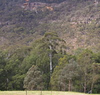 Bangadilly National Park - Holiday Adelaide