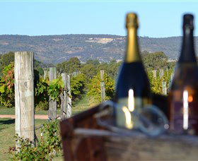 Ugly Duckling Wines - Holiday Adelaide 1