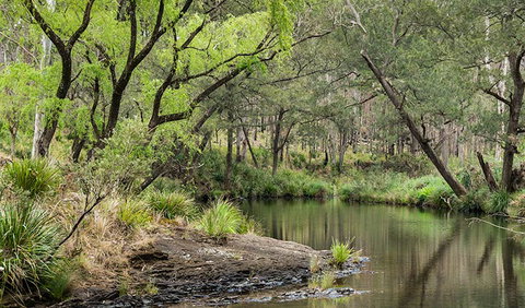 Koreelah National Park - Holiday Adelaide 1