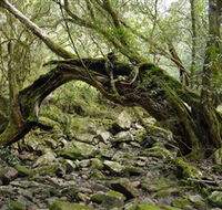 Mitchell River National Park - Holiday Adelaide
