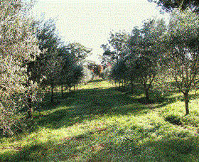 Langdale Farm - Holiday Adelaide 0