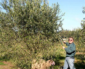 Langdale Farm - Holiday Adelaide 3