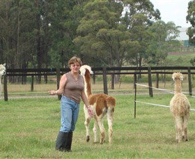 Langdale Farm - Holiday Adelaide 4