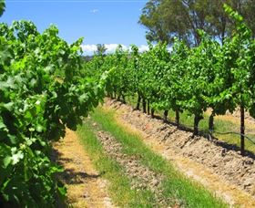 Misty Glen Wines And Cottage - Holiday Adelaide 1