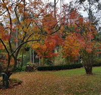 Bellbird Cottage - Holiday Adelaide