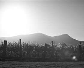 Scarborough Wine Co. - Holiday Adelaide 1