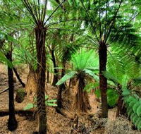 Pegarah Private Nature Reserve  Parenna Place - Holiday Adelaide