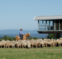 Tobruk Sydney - Holiday Adelaide