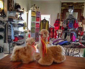 Australian Alpaca Barn - Hunter Valley Gardens - Holiday Adelaide 2
