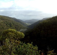 Nattai Gorge Lookout - Holiday Adelaide