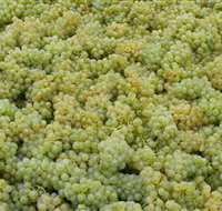 Normanby Wines - Holiday Adelaide