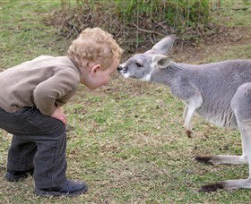 Hunter Valley Zoo - Holiday Adelaide 3