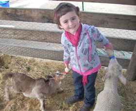 Hunter Valley Zoo - Holiday Adelaide 4