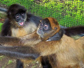 Hunter Valley Zoo - Holiday Adelaide 5