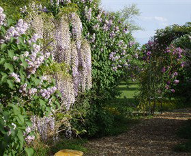 Back O The Moon - Holiday Adelaide 3