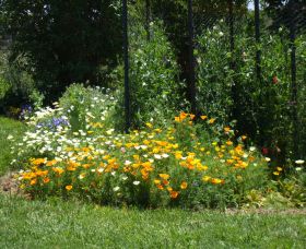 Back O The Moon - Holiday Adelaide 2