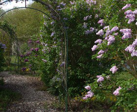 Back O The Moon - Holiday Adelaide 4