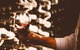 Howard Park And MadFish - Denmark Cellar Door - thumb 3