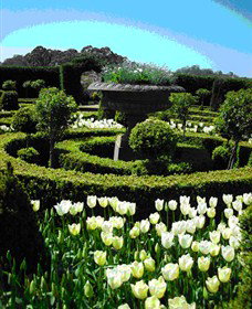 Fifth Chapter Estate - Holiday Adelaide 1