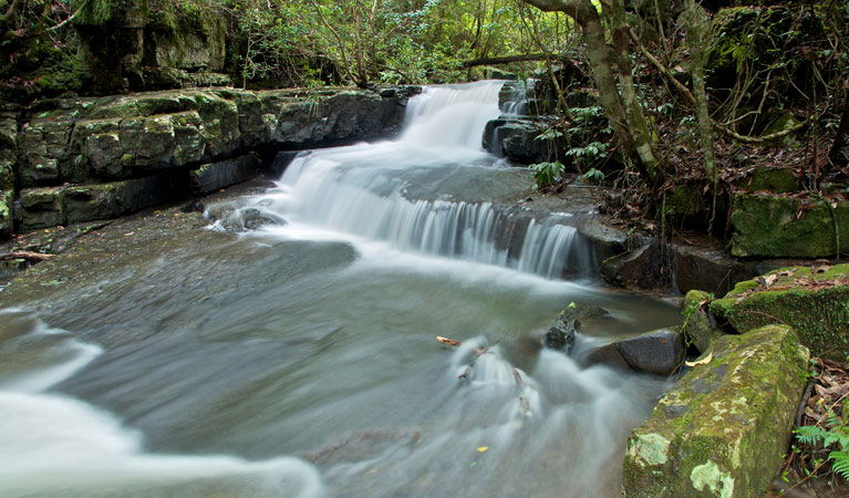 Bandon Grove NSW Holiday Adelaide